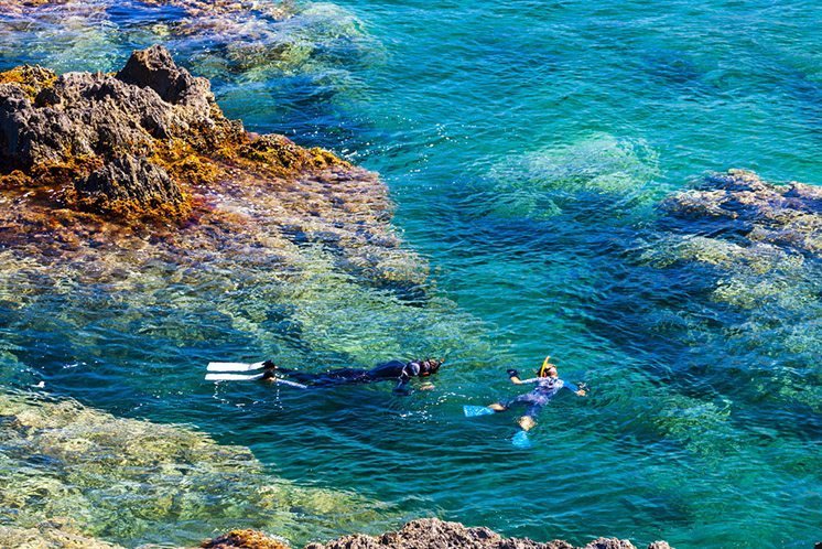 snorkeling, Cap de Peyrefite, Languedoc-Roussillon, France