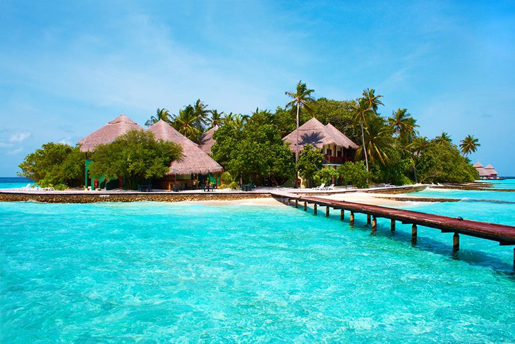 Island in the Ocean. Welcome to Paradise!