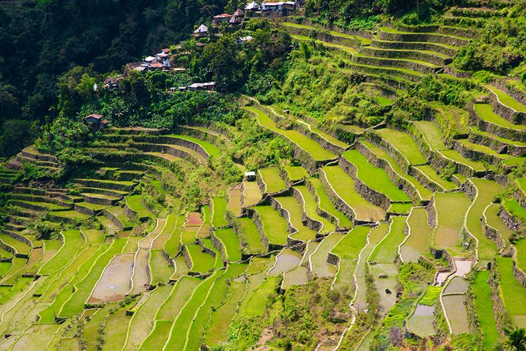 Rice terraces in the Philippines. The village is in a valley amo