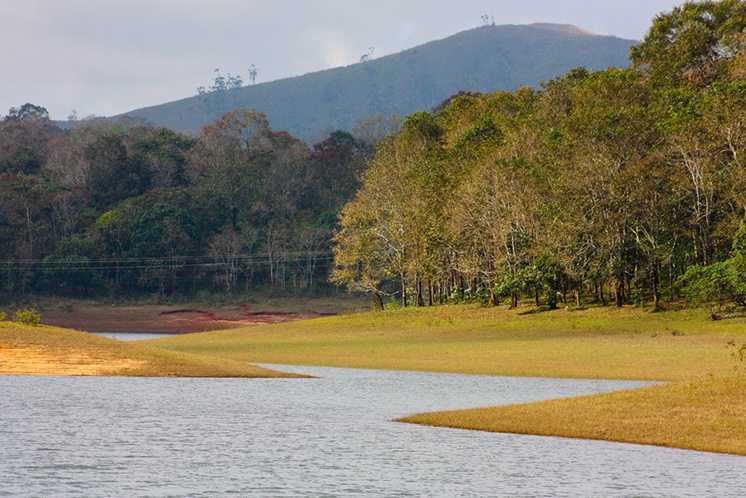 lake, Periyar National Park, Kerala, India