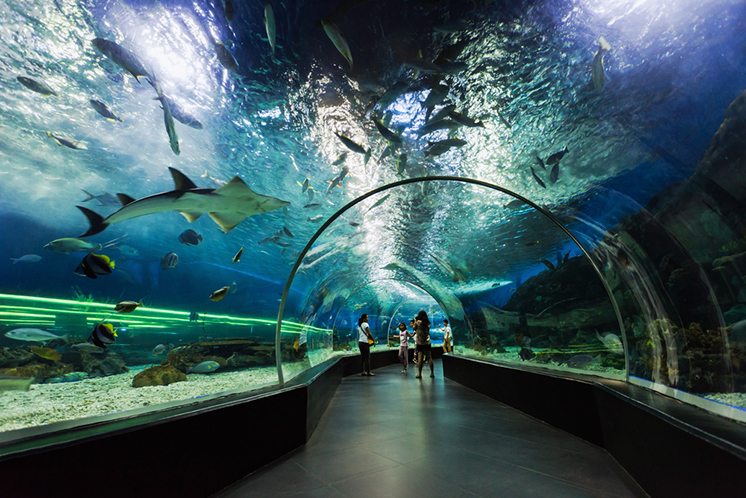 Underwater tunnel