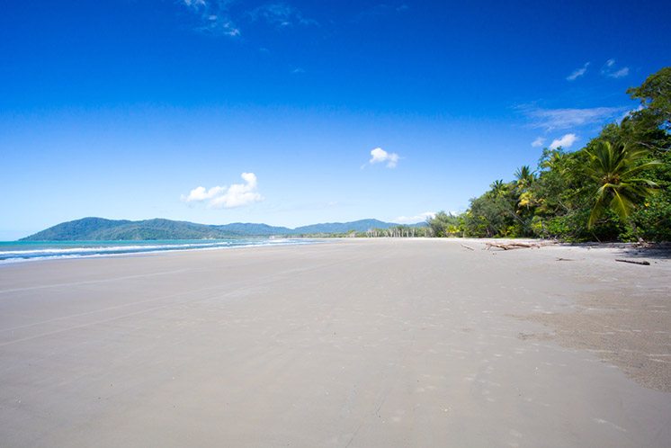 Thornton Beach in the Daintree