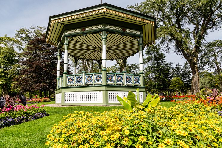 Gazebo on Hill Behind Yellow Daisies