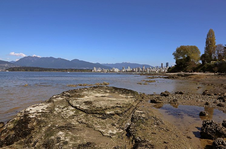 Kitsilano Rock