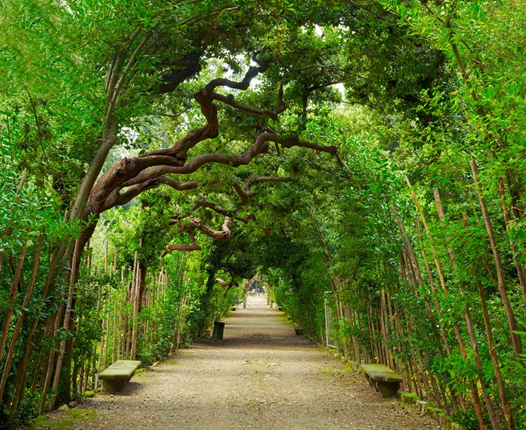 Boboli Gardens. Florence Italy