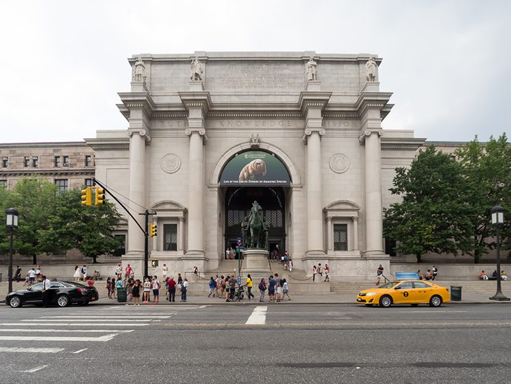 The American Museum of Natural History in New York