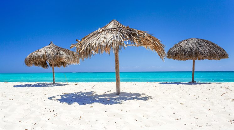 Beach Umbrellas made of palm leafs on exotic beach