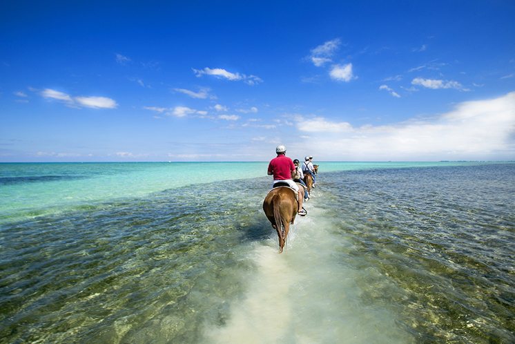 People riding on horse back at the Caribbean beach.