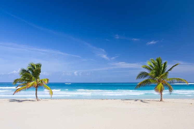 Two palm trees on the tropical beach, Bavaro, Punta Cana, Domini