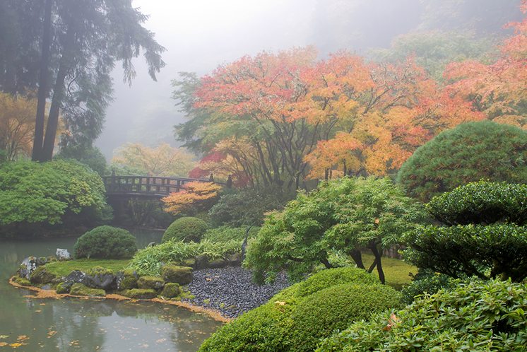 Foggy Morning at Japanese Garden by the Pond