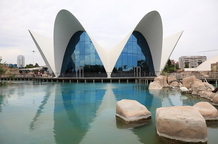 L'Oceanografic - Oceanarium in Valencia, Spain