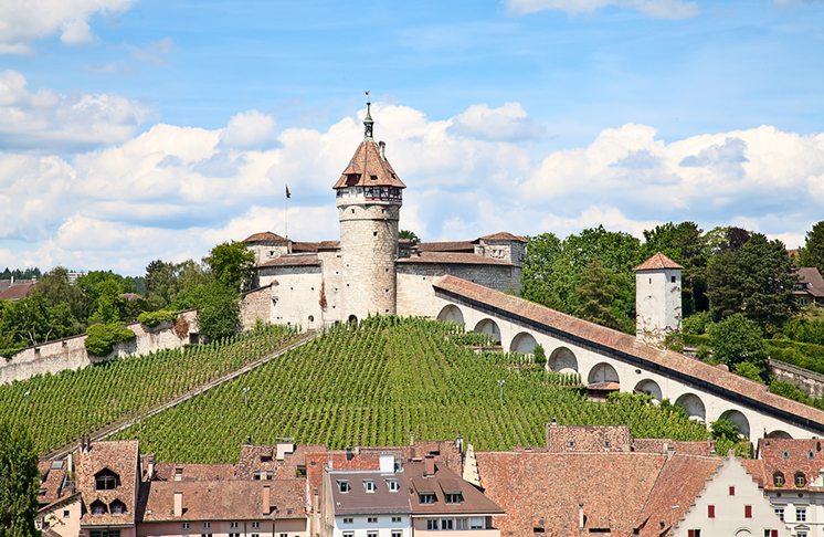 Summer in Schaffhausen