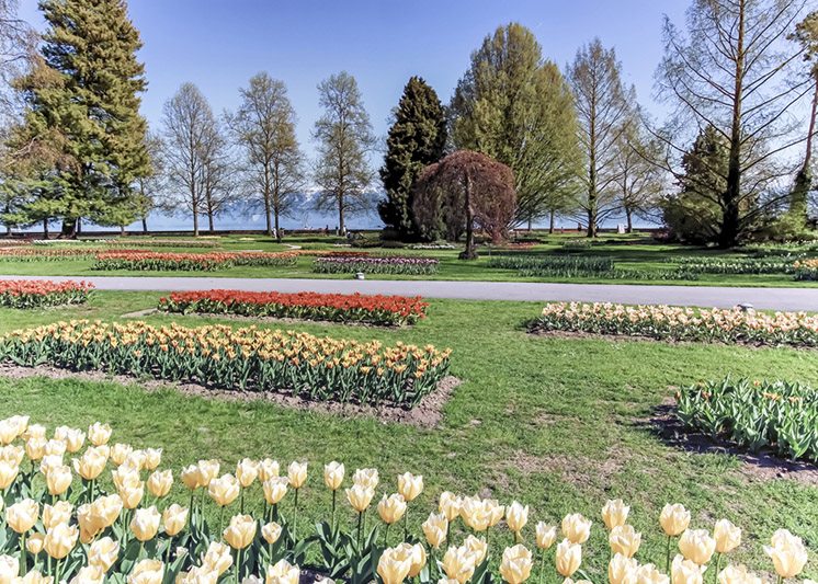Tulip feast, Morges, Switzerland