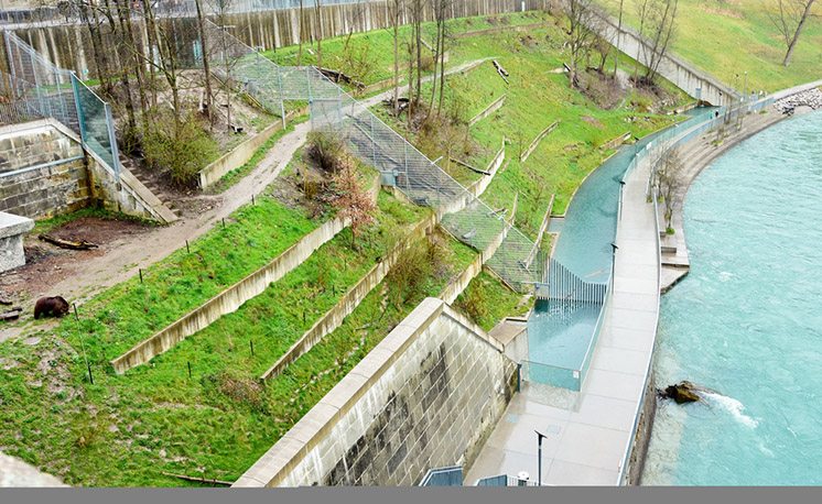 The Bern Bear Pit and Bears