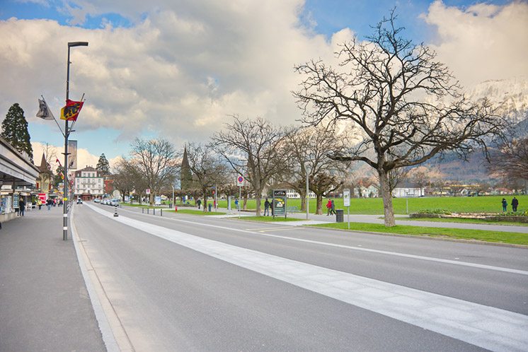 Tree and mountains in Interlaken, Switzerland