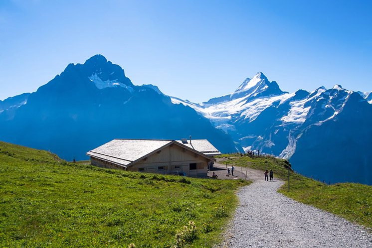 Traveler against Alpine scenery. Jungfrau region, Switzerland