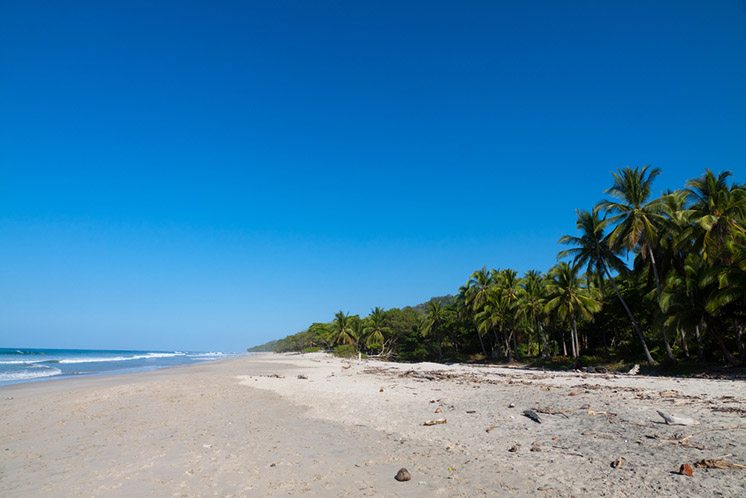 Wild Natural Beach Costa Rica, Santa Teresa