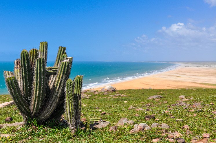 The view of the beaches in Jericoacoara, Brazil