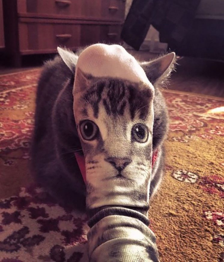 37-cat-socks