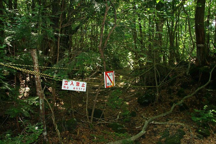 aokigahara-suicide-forest-japan