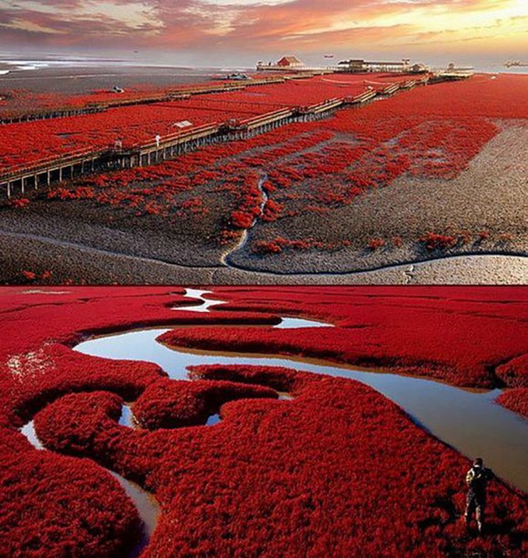 red-beach-panjin-china
