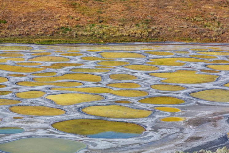 Spotted lake