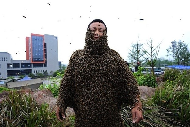 72-crazy-beekeeper